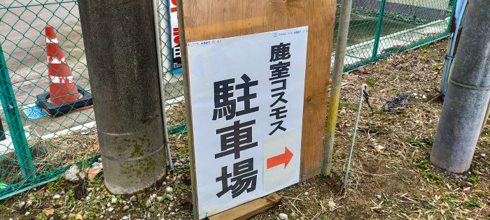 岩槻区 鹿室コスモス